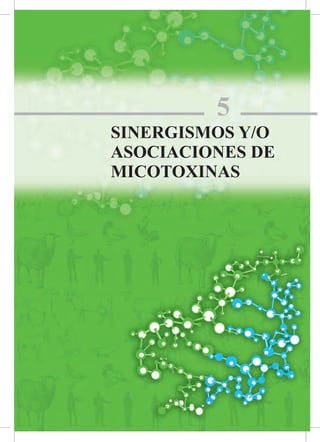 57Micotoxinas y Micotoxicosis en Animales y Humanos
5
SINERGISMOS Y/O
ASOCIACIONES DE
MICOTOXINAS
 