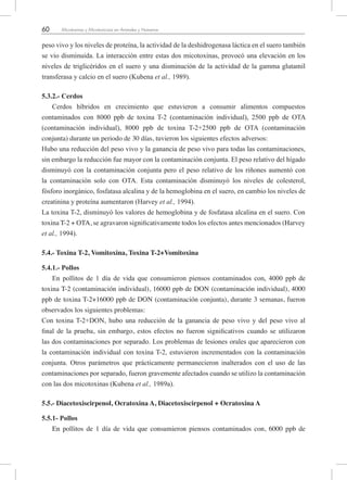 60 Micotoxinas y Micotoxicosis en Animales y Humanos
peso vivo y los niveles de proteína, la actividad de la deshidrogenasa láctica en el suero también
se vio disminuida. La interacción entre estas dos micotoxinas, provocó una elevación en los
niveles de triglicéridos en el suero y una disminución de la actividad de la gamma glutamil
transferasa y calcio en el suero (Kubena et al., 1989).
5.3.2.- Cerdos
Cerdos híbridos en crecimiento que estuvieron a consumir alimentos compuestos
contaminados con 8000 ppb de toxina T-2 (contaminación individual), 2500 ppb de OTA
(contaminación individual), 8000 ppb de toxina T-2+2500 ppb de OTA (contaminación
conjunta) durante un periodo de 30 días, tuvieron los siguientes efectos adversos:
Hubo una reducción del peso vivo y la ganancia de peso vivo para todas las contaminaciones,
sin embargo la reducción fue mayor con la contaminación conjunta. El peso relativo del hígado
disminuyó con la contaminación conjunta pero el peso relativo de los riñones aumentó con
la contaminación solo con OTA. Esta contaminación disminuyó los niveles de colesterol,
fósforo inorgánico, fosfatasa alcalina y de la hemoglobina en el suero, en cambio los niveles de
creatinina y proteína aumentaron (Harvey et al., 1994).
La toxina T-2, disminuyó los valores de hemoglobina y de fosfatasa alcalina en el suero. Con
toxina T-2 + OTA, se agravaron significativamente todos los efectos antes mencionados (Harvey
et al., 1994).
5.4.- Toxina T-2, Vomitoxina, Toxina T-2+Vomitoxina
5.4.1.- Pollos
En pollitos de 1 día de vida que consumieron piensos contaminados con, 4000 ppb de
toxina T-2 (contaminación individual), 16000 ppb de DON (contaminación individual), 4000
ppb de toxina T-2+16000 ppb de DON (contaminación conjunta), durante 3 semanas, fueron
observados los siguientes problemas:
Con toxina T-2+DON, hubo una reducción de la ganancia de peso vivo y del peso vivo al
final de la prueba, sin embargo, estos efectos no fueron significativos cuando se utilizaron
las dos contaminaciones por separado. Los problemas de lesiones orales que aparecieron con
la contaminación individual con toxina T-2, estuvieron incrementados con la contaminación
conjunta. Otros parámetros que prácticamente permanecieron inalterados con el uso de las
contaminaciones por separado, fueron gravemente afectados cuando se utilizo la contaminación
con las dos micotoxinas (Kubena et al., 1989a).
5.5.- Diacetoxiscirpenol, Ocratoxina A, Diacetoxiscirpenol + Ocratoxina A
5.5.1- Pollos
En pollitos de 1 día de vida que consumieron piensos contaminados con, 6000 ppb de
 
