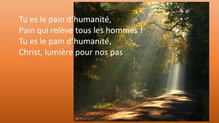 Tu es le pain d’humanité,
Pain qui relève tous les hommes !
Tu es le pain d’humanité,
Christ, lumière pour nos pas
 