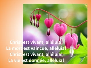 Christ est vivant, alléluia!
La mort est vaincue, alléluia!
Christ est vivant, alléluia!
La vie est donnée, alléluia!
 