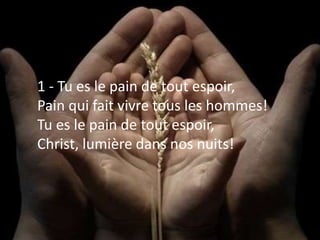 1 - Tu es le pain de tout espoir,
Pain qui fait vivre tous les hommes!
Tu es le pain de tout espoir,
Christ, lumière dans nos nuits!
 
