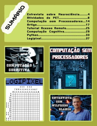 3ª edicao redinfo, a sua revista eletrônica de computação