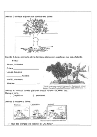 Questão 2- escreva as partes que compõe uma planta: 
Questão 3- Leia e complete a letra da música abaixo com as palavras que estão faltando. 
Pomar 
Banana, bananeira 
Goiaba,_______________________ 
Laranja, laranjeira 
_____________, macieira 
Mamão, mamoeiro 
Abacate, ___________________ (...) 
Questão 4- Todas as plantas que foram citadas no texto “ POMAR” são ; 
Marque o certo. 
( ) aquáticos ( ) terrestres 
Questão 5- Observe a tirinha: 
 Qual das crianças está cuidando de uma horta? ________________________ 
 