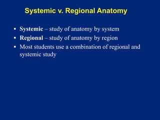 Systemic v. Regional Anatomy
▪ Systemic – study of anatomy by system
▪ Regional – study of anatomy by region
▪ Most students use a combination of regional and
systemic study
 
