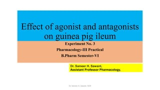 Effect of agonist and antagonists
on guinea pig ileum
Experiment No. 3
Pharmacology-III Practical
B.Pharm Semester-VI
Dr. Sameer H. Sawant,
Assistant Professor Pharmacology,
Dr. Sameer H. Sawant, SIOP
 