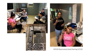NYCHA Ravenswood Seed Starting 5/7/18
 
