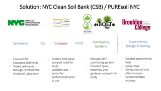 Solution: NYC Clean Soil Bank (CSB) / PUREsoil NYC
- Created CSB
- Excavated sediments
- Tested sediments
through certified York
Analytical Laboratory
- Creates food scrap
compost used for
study
- Compost was
tested for
contaminants prior
to use
- Manages NYC
community gardens
- Provided space,
materials, and
gardener outreach for
study
- Created experimental
beds
- Grew crops
- Conducted soil and
plant analyses
- Conducted data
analyses
Sediments Community
Gardens
Experimental
Design & Testing
Compost
 