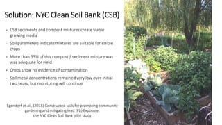 Solution: NYC Clean Soil Bank (CSB)
- CSB sediments and compost mixtures create viable
growing media
- Soil parameters indicate mixtures are suitable for edible
crops
- More than 33% of this compost / sediment mixture was
was adequate for yield
- Crops show no evidence of contamination
- Soil metal concentrations remained very low over initial
two years, but monitoring will continue
Egendorf et al., (2018) Constructed soils for promoting community
gardening and mitigating lead (Pb) Exposure:
the NYC Clean Soil Bank pilot study
 