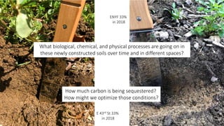 ENYF 33%
in 2018
E 43rd St 33%
in 2018
What biological, chemical, and physical processes are going on in
these newly constructed soils over time and in different spaces?
How much carbon is being sequestered?
How might we optimize those conditions?
 