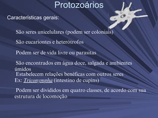 Protozoários
Características gerais:
São seres unicelulares (podem ser coloniais)
São eucariontes e heterótrofos
Podem ser de vida livre ou parasitas
Estabelecem relações benéficas com outros seres
Ex: Triconympha (intestino de cupins)
Podem ser divididos em quatro classes, de acordo com sua
estrutura de locomoção
São encontrados em água doce, salgada e ambientes
úmidos
 