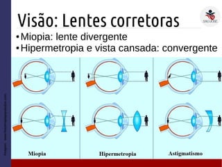 Visão: Lentes corretoras
● Miopia: lente divergente
● Hipermetropia e vista cansada: convergente
Imagem:www.fisioterapiaparatodos.com
 