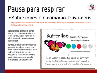 Pausa para respirar
● Sobre cores e o camarão-louva-deus
Borboletas possuem cinco
tipos de cones receptivos a
cor: verde, azul, vermelho e
dois que não temos como
identificar.
Então, sendo que borboletas
podem ver duas cores que
não temos identificadas, elas
são capazes de ver um
espectro massivo de cores
que nossos cérebros são
incapazes de processar.
http://poracaso.com/cores-um-tipo-de-camarao-fato-mais-interessante-voce-talvez
-tenha-lido-nesse-mes/
 