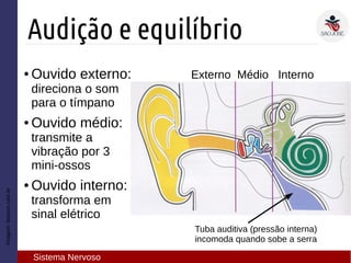 Imagem:biosom.com.br
Audição e equilíbrio
Sistema Nervoso
● Ouvido externo:
direciona o som
para o tímpano
● Ouvido médio:
transmite a
vibração por 3
mini-ossos
● Ouvido interno:
transforma em
sinal elétrico
Externo Médio Interno
Tuba auditiva (pressão interna)
incomoda quando sobe a serra
 