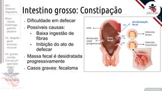 Prof. Kyoshi Beraldo
©
Intestino grosso: Constipação
• Dificuldade em defecar
• Possíveis causas:
• Baixa ingestão de
fibras
• Inibição do ato de
defecar
• Massa fecal é desidratada
progressivamente
• Casos graves: fecaloma
#01
Sistema
Digestório
Boca
vômito
Estômago
gastrite
pepsina
Int. delgado
geral
enzimas
microvili
Int. grosso
constip.
Curvas pH
apendice
cheiro
Feedbacks
Flora intest.
 