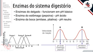 Prof. Kyoshi Beraldo
©
Enzimas do sistema digestório
• Enzimas do delgado - funcionam em pH básico
• Enzima do estômago (pepsina) - pH ácido
• Enzima da boca (amilase, ptialina) - pH neutro
#01
Sistema
Digestório
Boca
vômito
Estômago
gastrite
pepsina
Int. delgado
geral
enzimas
microvili
 