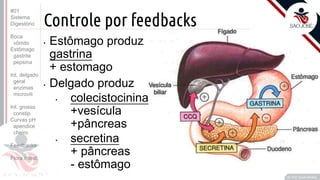 Prof. Kyoshi Beraldo
©
Controle por feedbacks
• Estômago produz
gastrina
+ estomago
• Delgado produz
• colecistocinina
+vesícula
+pâncreas
• secretina
+ pâncreas
- estômago
#01
Sistema
Digestório
Boca
vômito
Estômago
gastrite
pepsina
Int. delgado
geral
enzimas
microvili
Int. grosso
constip.
Curvas pH
apendice
cheiro
Feedbacks
Flora intest.
 