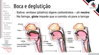 Prof. Kyoshi Beraldo
©
Boca e deglutição
• Saliva: amilase (ptialina) digere carboidratos – ph neutro
• Na faringe, glote impede que a comida vá para a laringe
#01
Sistema
Digestório
Boca
vômito
Estômago
gastrite
pepsina
Int. delgado
geral
enzimas
microvili
Int. grosso
constip.
Curvas pH
apendice
cheiro
Feedbacks
Flora intest.
 