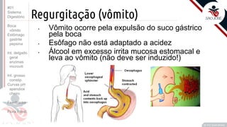 Prof. Kyoshi Beraldo
©
Regurgitação (vômito)
• Vômito ocorre pela expulsão do suco gástrico
pela boca
• Esôfago não está adaptado a acidez
• Álcool em excesso irrita mucosa estomacal e
leva ao vômito (não deve ser induzido!)
#01
Sistema
Digestório
Boca
vômito
Estômago
gastrite
pepsina
Int. delgado
geral
enzimas
microvili
Int. grosso
constip.
Curvas pH
apendice
cheiro
Feedbacks
Flora intest.
 