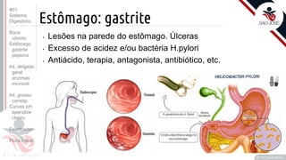 Prof. Kyoshi Beraldo
©
Estômago: gastrite
• Lesões na parede do estômago. Úlceras
• Excesso de acidez e/ou bactéria H.pylori
• Antiácido, terapia, antagonista, antibiótico, etc.
#01
Sistema
Digestório
Boca
vômito
Estômago
gastrite
pepsina
Int. delgado
geral
enzimas
microvili
Int. grosso
constip.
Curvas pH
apendice
cheiro
Feedbacks
Flora intest.
 
