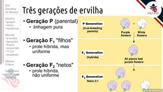 Prof. Kyoshi Beraldo
©
Três gerações de ervilha
Prof. Kyoshi Beraldo
©
• Geração P (parental)
• linhagem pura
• Geração F1 "filhos"
• prole híbrida, mas
uniforme
• Geração F2 "netos"
• prole híbrida,
não uniforme
#16
Genetica
de Mendel
História
>gregos
>micro
>modernos
Mendel
>a ervilha
>gerações
>traços
>proporção
>1ª Lei
>quadrado
Meiose
Coleus
Geno/Feno
Cruza teste
Heredog
 