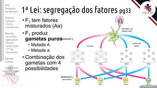 Prof. Kyoshi Beraldo
©
1ª Lei: segregação dos fatores pg33
• F1 tem fatores
misturados (Aa)
• F1 produz
gametas puros
• Metade A
• Metade a
• Combinação dos
gametas com 4
possibilidades
Prof. Kyoshi Beraldo
©
#16
Genetica
de Mendel
História
>gregos
>micro
>modernos
Mendel
>a ervilha
>gerações
>traços
>proporção
>1ª Lei
>quadrado
Meiose
Coleus
Geno/Feno
Cruza teste
Heredog
 