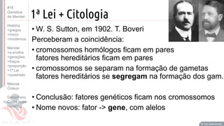 Prof. Kyoshi Beraldo
©
1ª Lei + Citologia
• W. S. Sutton, em 1902. T. Boveri
Perceberam a coincidência:
• cromossomos homólogos ficam em pares
fatores hereditários ficam em pares
• cromossomos se separam na formação de gametas
fatores hereditários se segregam na formação dos gam.
• Conclusão: fatores genéticos ficam nos cromossomos
• Nome novos: fator -> gene, com alelos
Prof. Kyoshi Beraldo
©
#16
Genetica
de Mendel
História
>gregos
>micro
>modernos
Mendel
>a ervilha
>gerações
>traços
>proporção
>1ª Lei
>quadrado
Meiose
Coleus
Geno/Feno
Cruza teste
Heredog
 