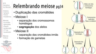 Prof. Kyoshi Beraldo
©
• Duplicação das cromátides
• Meiose I
• separação dos cromossomos
homólogos
• segregação dos alelos
• Meiose II
• separação das cromátides-irmãs
• formação de gametas
Prof. Kyoshi Beraldo
©
#16
Genetica
de Mendel
História
>gregos
>micro
>modernos
Mendel
>a ervilha
>gerações
>traços
>proporção
>1ª Lei
>quadrado
Meiose
Coleus
Geno/Feno
Cruza teste
Heredog
Relembrando meiose pg34
 