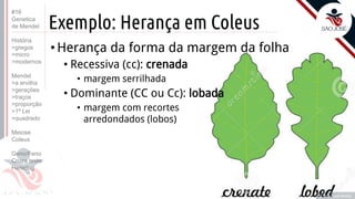 Prof. Kyoshi Beraldo
©
Exemplo: Herança em Coleus
•Herança da forma da margem da folha
• Recessiva (cc): crenada
• margem serrilhada
• Dominante (CC ou Cc): lobada
• margem com recortes
arredondados (lobos)
Prof. Kyoshi Beraldo
©
#16
Genetica
de Mendel
História
>gregos
>micro
>modernos
Mendel
>a ervilha
>gerações
>traços
>proporção
>1ª Lei
>quadrado
Meiose
Coleus
Geno/Feno
Cruza teste
Heredog
 