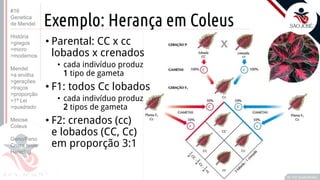 Prof. Kyoshi Beraldo
©
Exemplo: Herança em Coleus
• Parental: CC x cc
lobados x crenados
• cada indivíduo produz
1 tipo de gameta
• F1: todos Cc lobados
• cada indivíduo produz
2 tipos de gameta
• F2: crenados (cc)
e lobados (CC, Cc)
em proporção 3:1
Prof. Kyoshi Beraldo
©
#16
Genetica
de Mendel
História
>gregos
>micro
>modernos
Mendel
>a ervilha
>gerações
>traços
>proporção
>1ª Lei
>quadrado
Meiose
Coleus
Geno/Feno
Cruza teste
Heredog
 