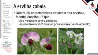 Prof. Kyoshi Beraldo
©
A ervilha cobaia
• Dentre 30 características variáveis nas ervilhas,
Mendel escolheu 7 que:
• não mudavam com o ambiente
• apresentavam só 2 estados possíveis (ex: verde/amarelo)
Prof. Kyoshi Beraldo
©
#16
Genetica
de Mendel
História
>gregos
>micro
>modernos
Mendel
>a ervilha
>gerações
>traços
>proporção
>1ª Lei
>quadrado
Meiose
Coleus
Geno/Feno
Cruza teste
Heredog
 