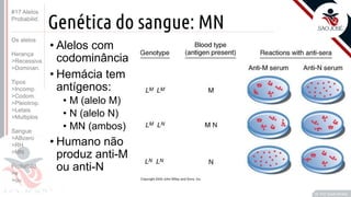 ©
Genética do sangue: MN
• Alelos com
codominância
• Hemácia tem
antígenos:
• M (alelo M)
• N (alelo N)
• MN (ambos)
• Humano não
produz anti-M
ou anti-N
Prof. Kyoshi Beraldo
©
#17 Alelos
Probabilid.
Os alelos
Herança
>Recessiva
>Dominan.
Tipos
>Incomp.
>Codom.
>Pleiotrop.
>Letais
>Multiplos
Sangue
>ABzero
>RH
>MN
Probabild.
>e
>ou
 
