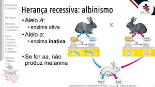 ©
Herança recessiva: albinismo
•Alelo A:
• enzima ativa
•Alelo a:
• enzima inativa
•Se for aa, não
produz melanina
Prof. Kyoshi Beraldo
©
#17 Alelos
Probabilid.
Os alelos
Herança
>Recessiva
>Dominan.
Tipos
>Incomp.
>Codom.
>Pleiotrop.
>Letais
>Multiplos
Sangue
>ABzero
>RH
>MN
Probabild.
>e
>ou
 