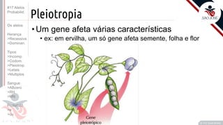 ©
Pleiotropia
•Um gene afeta várias características
• ex: em ervilha, um só gene afeta semente, folha e flor
Prof. Kyoshi Beraldo
©
#17 Alelos
Probabilid.
Os alelos
Herança
>Recessiva
>Dominan.
Tipos
>Incomp.
>Codom.
>Pleiotrop.
>Letais
>Multiplos
Sangue
>ABzero
>RH
>MN
Probabild.
>e
>ou
 