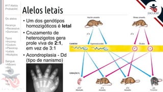 ©
Alelos letais
• Um dos genótipos
homozigóticos é letal
• Cruzamento de
heterozigotos gera
prole viva de 2:1,
em vez de 3:1
• Acondroplasia - Dd
(tipo de nanismo)
Prof. Kyoshi Beraldo
#17 Alelos
Probabilid.
Os alelos
Herança
>Recessiva
>Dominan.
Tipos
>Incomp.
>Codom.
>Pleiotrop.
>Letais
>Multiplos
Sangue
>ABzero
>RH
>MN
Probabild.
>e
>ou
 
