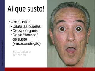 Ai que susto!
● Um susto:
● Dilata as pupilas
● Deixa ofegante
● Deixa “branco”
de susto
(vasoconstrição)
Susto ativa o
simpático!
Imagem:esoterismo-kiber.blogs.sapo.pt
 