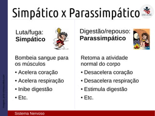Luta/fuga:
Simpático
Imagem:pt-br.monica.wikia.com
Simpático x Parassimpático
Sistema Nervoso
Digestão/repouso:
Parassimpático
Bombeia sangue para
os músculos
● Acelera coração
● Acelera respiração
● Inibe digestão
● Etc.
Retoma a atividade
normal do corpo
● Desacelera coração
● Desacelera respiração
● Estimula digestão
● Etc.
 
