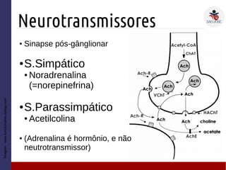 Neurotransmissores
Imagem:www.functionalneurology.com
● Sinapse pós-gânglionar
● S.Simpático
● Noradrenalina
(=norepinefrina)
● S.Parassimpático
● Acetilcolina
● (Adrenalina é hormônio, e não
neutrotransmissor)
 