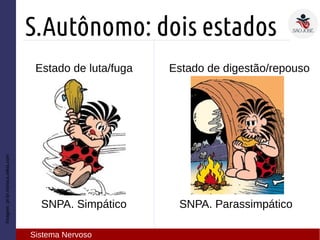 Estado de luta/fuga
Imagem:pt-br.monica.wikia.com
S.Autônomo: dois estados
Sistema Nervoso
Estado de digestão/repouso
SNPA. Simpático SNPA. Parassimpático
 