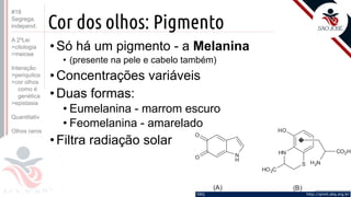 ©
Cor dos olhos: Pigmento
•Só há um pigmento - a Melanina
• (presente na pele e cabelo também)
•Concentrações variáveis
•Duas formas:
• Eumelanina - marrom escuro
• Feomelanina - amarelado
•Filtra radiação solar
Prof. Kyoshi Beraldo
©
#18
Segrega.
independ.
A 2ºLei
>citologia
>meiose
Interação
>periquitos
>cor olhos
como é
genética
>epistasia
Quantitativ.
Olhos raros
 