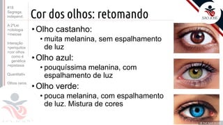 ©
Cor dos olhos: retomando
•Olho castanho:
• muita melanina, sem espalhamento
de luz
•Olho azul:
• pouquíssima melanina, com
espalhamento de luz
•Olho verde:
• pouca melanina, com espalhamento
de luz. Mistura de cores
Prof. Kyoshi Beraldo
©
#18
Segrega.
independ.
A 2ºLei
>citologia
>meiose
Interação
>periquitos
>cor olhos
como é
genética
>epistasia
Quantitativ.
Olhos raros
 