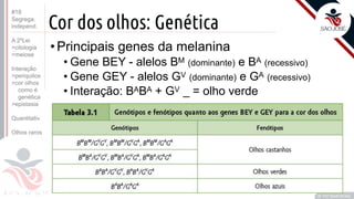 ©
Cor dos olhos: Genética
•Principais genes da melanina
• Gene BEY - alelos BM (dominante) e BA (recessivo)
• Gene GEY - alelos GV (dominante) e GA (recessivo)
• Interação: BABA + GV _ = olho verde
Prof. Kyoshi Beraldo
©
#18
Segrega.
independ.
A 2ºLei
>citologia
>meiose
Interação
>periquitos
>cor olhos
como é
genética
>epistasia
Quantitativ.
Olhos raros
 