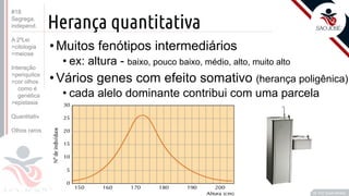 ©
Herança quantitativa
•Muitos fenótipos intermediários
• ex: altura - baixo, pouco baixo, médio, alto, muito alto
•Vários genes com efeito somativo (herança poligênica)
• cada alelo dominante contribui com uma parcela
Prof. Kyoshi Beraldo
©
#18
Segrega.
independ.
A 2ºLei
>citologia
>meiose
Interação
>periquitos
>cor olhos
como é
genética
>epistasia
Quantitativ.
Olhos raros
 