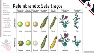 ©
Relembrando: Sete traços
• A
Prof. Kyoshi Beraldo
©
#18
Segrega.
independ.
A 2ºLei
>citologia
>meiose
Interação
>periquitos
>cor olhos
como é
genética
>epistasia
Quantitativ.
Olhos raros
 