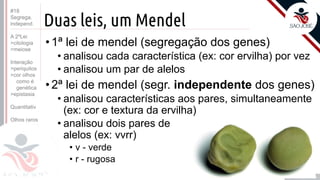 ©
Duas leis, um Mendel
•1ª lei de mendel (segregação dos genes)
• analisou cada característica (ex: cor ervilha) por vez
• analisou um par de alelos
•2ª lei de mendel (segr. independente dos genes)
• analisou características aos pares, simultaneamente
(ex: cor e textura da ervilha)
• analisou dois pares de
alelos (ex: vvrr)
• v - verde
• r - rugosa
Prof. Kyoshi Beraldo
©
#18
Segrega.
independ.
A 2ºLei
>citologia
>meiose
Interação
>periquitos
>cor olhos
como é
genética
>epistasia
Quantitativ.
Olhos raros
 