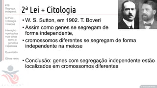 ©
2ª Lei + Citologia
• W. S. Sutton, em 1902. T. Boveri
• Assim como genes se segregam de
forma independente,
• cromossomos diferentes se segregam de forma
independente na meiose
• Conclusão: genes com segregação independente estão
localizados em cromossomos diferentes
Prof. Kyoshi Beraldo
©
#18
Segrega.
independ.
A 2ºLei
>citologia
>meiose
Interação
>periquitos
>cor olhos
como é
genética
>epistasia
Quantitativ.
Olhos raros
 