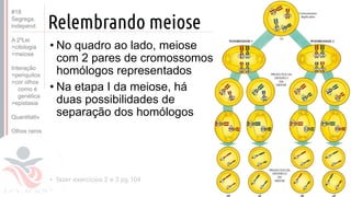 ©
Relembrando meiose
• No quadro ao lado, meiose
com 2 pares de cromossomos
homólogos representados
• Na etapa I da meiose, há
duas possibilidades de
separação dos homólogos
• fazer exercícios 2 e 3 pg.104
Prof. Kyoshi Beraldo
©
#18
Segrega.
independ.
A 2ºLei
>citologia
>meiose
Interação
>periquitos
>cor olhos
como é
genética
>epistasia
Quantitativ.
Olhos raros
 