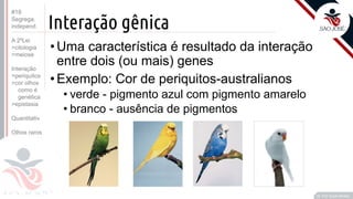 ©
Interação gênica
•Uma característica é resultado da interação
entre dois (ou mais) genes
•Exemplo: Cor de periquitos-australianos
• verde - pigmento azul com pigmento amarelo
• branco - ausência de pigmentos
Prof. Kyoshi Beraldo
©
#18
Segrega.
independ.
A 2ºLei
>citologia
>meiose
Interação
>periquitos
>cor olhos
como é
genética
>epistasia
Quantitativ.
Olhos raros
 