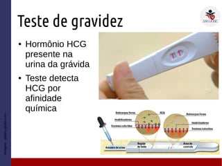 Teste de gravidez
● Hormônio HCG
presente na
urina da grávida
● Teste detecta
HCG por
afinidade
química
Imagem:galileu.globo.com
 