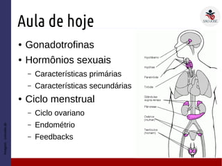 Aula de hoje
● Gonadotrofinas
● Hormônios sexuais
– Características primárias
– Características secundárias
● Ciclo menstrual
– Ciclo ovariano
– Endométrio
– Feedbacks
Imagem:conceito.de
 