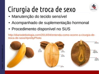 Cirurgia de troca de sexo
● Manutenção do tecido sensível
● Acompanhado de suplementação hormonal
● Procedimento disponível no SUS
Imagem:http://diariodebiologia.com
http://diariodebiologia.com/2014/04/entenda-como-ocorre-a-cirurgia-de-
troca-de-sexo/#prettyPhoto
 